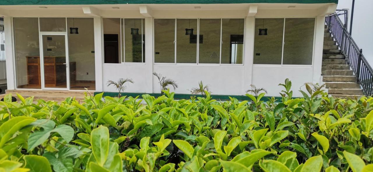 Nilowin Glenanore Guesthouse ハプタレー エクステリア 写真